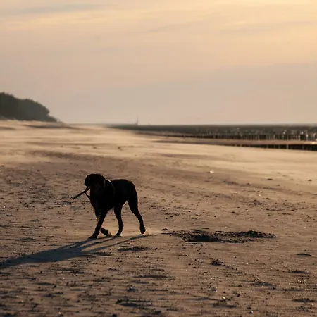 Water View Porta Mare شقة *
