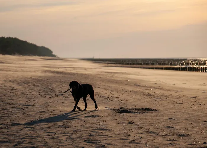 Water View Porta Mare Appartement *